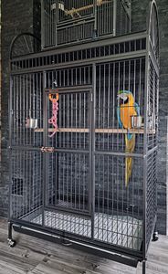 Клетка для крупных попугаев (новая)