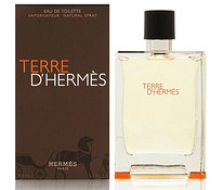 Hermes Terre D Hermes EDT 100мл