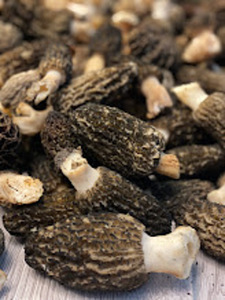 Mükrel seened kuivatatud ja külmutatud 100gr