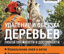 Ohtlike puude saagimine ja lõikamine