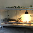 Maisi-roni nastik + terrarium (foto #2)