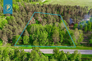 Harju maakond, Lääne-Harju vald, Madise küla, Kotka (4 foto / 5)