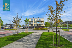 F. G. Adoffi tn 1-25, Rakvere, Lääne-Virumaa (30 foto / 30)