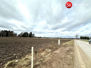 Tartu maakond, Kambja vald, Laane küla, Kaku-Metsavahi tee Kesakanni (2 foto / 3)
