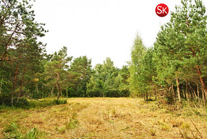 Lääne maakond, Lääne-Nigula vald, Telise küla/Tällnäs, Tuule (7 foto / 20)