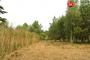 Lääne maakond, Lääne-Nigula vald, Telise küla/Tällnäs, Tuule (8 foto / 20)