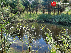 Lääne maakond, Lääne-Nigula vald, Telise küla/Tällnäs, Tuule (11 foto / 20)