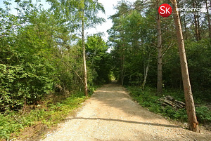 Lääne maakond, Lääne-Nigula vald, Telise küla/Tällnäs, Tuule (14 foto / 20)