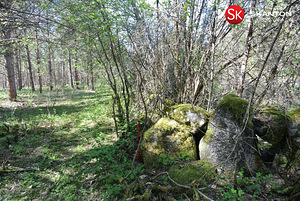 Lääne maakond, Lääne-Nigula vald, Hara küla/Harga, Kõrkja (8 foto / 18)