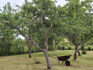 Tara tee 36, Nõmme, Haapsalu linn, Läänemaa (32 foto / 34)