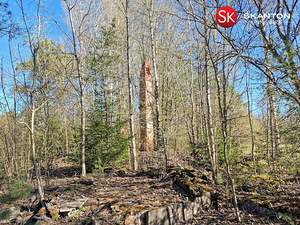Uustoa, Langa, Lääne-Harju vald, Harjumaa (11 foto / 22)