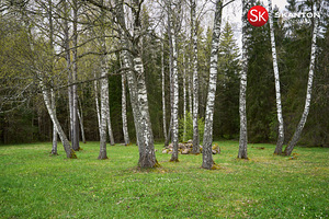 Lepiku, Tagametsa, Saue vald, Harjumaa (9 foto / 36)