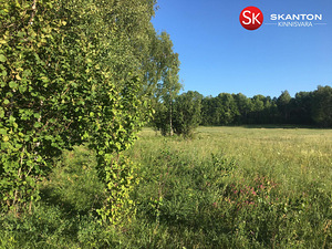Kruusa, Ridala, Saaremaa vald, Saaremaa (8 foto / 19)