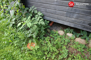 Marese tee 27, Suurupi, Harku vald, Harjumaa (26 foto / 36)