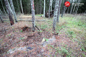 Kaasiku tee 6, Kloogaranna, Lääne-Harju vald, Harjumaa (9 foto / 16)