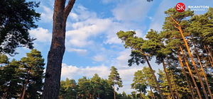 Sirptiiva tn 5, Pirita, Tallinn, Harjumaa (27 foto / 30)