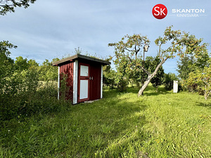 Tammenuka, Kuivastu, Muhu vald, Saaremaa (29 foto / 42)