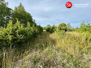 Tammenuka, Kuivastu, Muhu vald, Saaremaa (39 foto / 42)