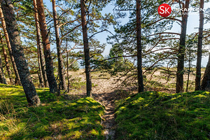 Tedre tee 23, Kauksi, Alutaguse vald, Ida-Virumaa (27 foto / 32)