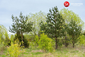 Pärnu linn, Pärnumaa (14 foto / 22)