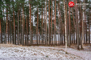 Riia mnt 89a, Männimäe, Viljandi, Viljandimaa (64 foto / 67)