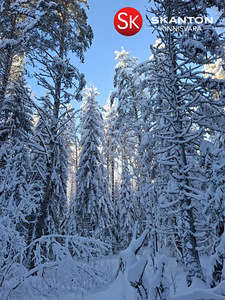 Apuparra, Pillapalu, Anija vald, Harjumaa (43 foto / 55)