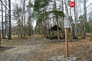 Järve tee 4, Klooga, Lääne-Harju vald, Harjumaa (12 foto / 15)
