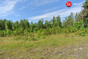 Nõmmeliiva, Rohuküla, Haapsalu linn, Läänemaa (7 foto / 12)