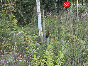 Tammeoksa, Veskimäe, Kastre vald, Tartumaa (11 foto / 22)