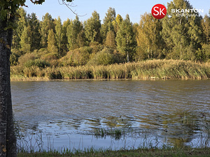 Tammeoksa, Veskimäe, Kastre vald, Tartumaa (17 foto / 22)