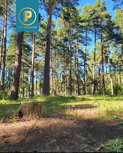 Piiri tee 11, Narva-Jõesuu, Narva-Jõesuu linn, Ida-Virumaa (24 foto / 31)