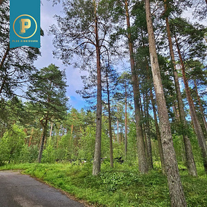 Piiri tee 11, Narva-Jõesuu, Narva-Jõesuu linn, Ida-Virumaa (24 foto / 37)