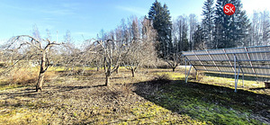 Järva maakond, Türi vald, Kolu küla, Jõekese 14 (12 foto / 31)