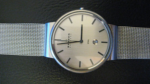 Ручные часы Skagen (3 фото из 6)