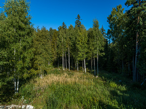 Metsanurga põik 7, Roobuka, Saku vald, Harjumaa (1 foto / 8)