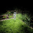 Садовые фонари (фото #2)