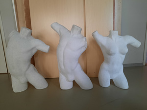 Mannekeenid torso torsod (1 foto / 1)