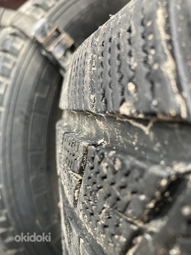 Rehvid m+s 205/55 r16