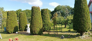 Salu tn 9, Maardu, Harjumaa (4 foto / 7)