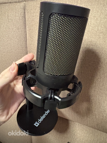 Microphone Defender