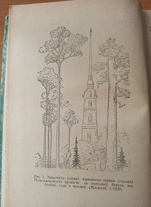 Meelelahutuslik botaanika. RAAMAT KOOLILASTELE (4 foto / 5)