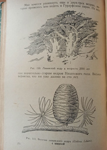 Meelelahutuslik botaanika. RAAMAT KOOLILASTELE (5 foto / 5)