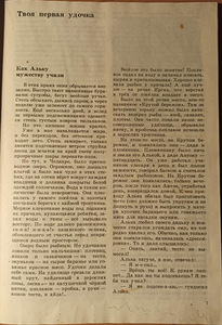 Noor õngitseja. RAAMAT KOOLILASTELE (4 foto / 7)