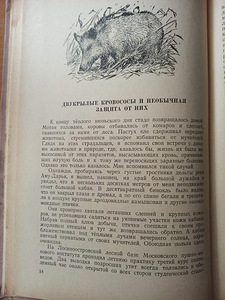 Loodusteadlaste lood. RAAMAT KOOLILASTELE (4 foto / 7)