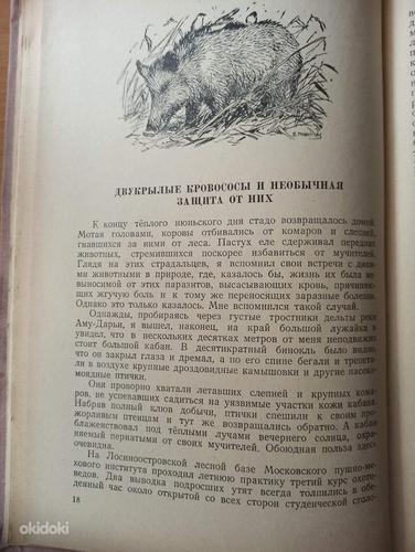 Рассказы натуралиста. КНИГА ДЛЯ ШКОЛЬНИКОВ (фото #4)