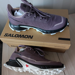 Tossud Salomon alphacross 5 gtx w (6 foto / 7)