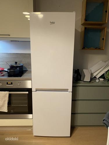 Холодильник beko (фото #1)