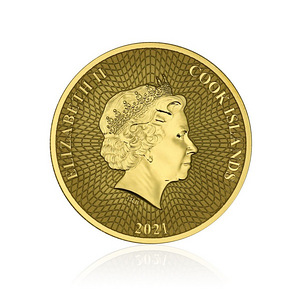 Cook 1/2 2021 gold (2 foto / 2)