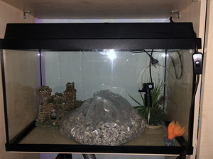 Akvaarium JUWEL 60l (1 foto / 3)