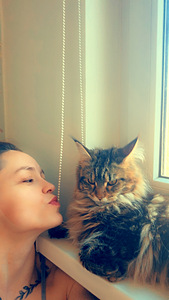 Hea ja rahulik Maine Coon Chanel otsib peret (3 foto / 10)